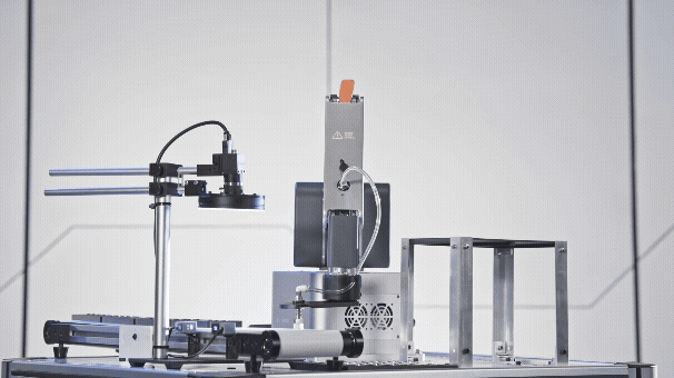 IP1000 customized vision solution